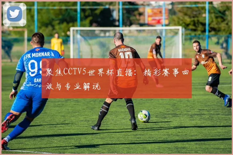 聚焦CCTV5世界杯直播：精彩赛事回放与专业解说