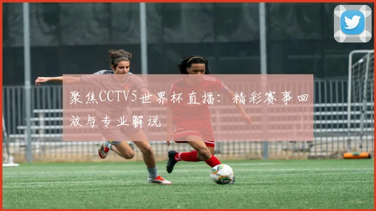 聚焦CCTV5世界杯直播：精彩赛事回放与专业解说