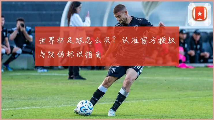世界杯足球怎么买?认准官方授权与防伪标识指南
