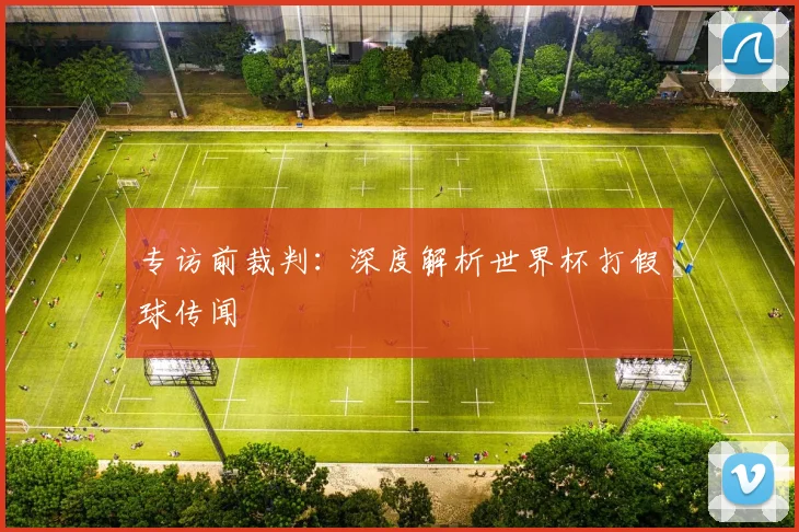 专访前裁判:深度解析世界杯打假球传闻
