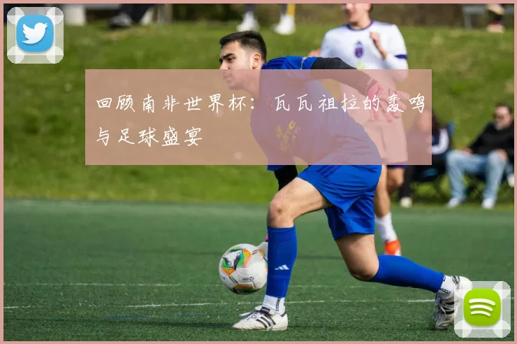 回顾南非世界杯:瓦瓦祖拉的轰鸣与足球盛宴