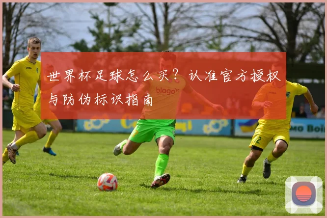 世界杯足球怎么买?认准官方授权与防伪标识指南